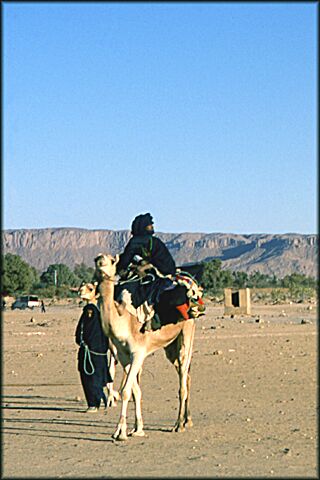 Tamanrasset