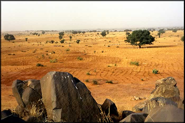 Sahel