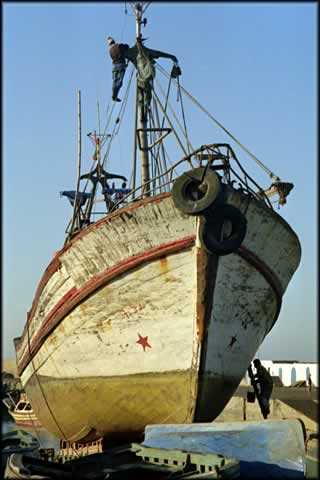 Safi