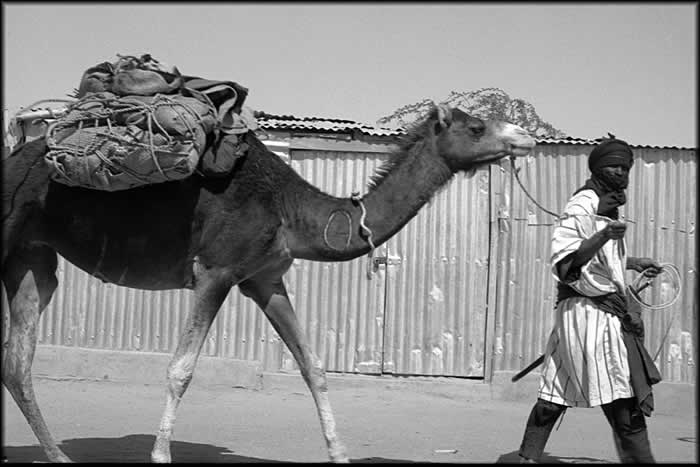 Zinder