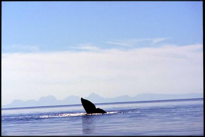 Baja California Norte