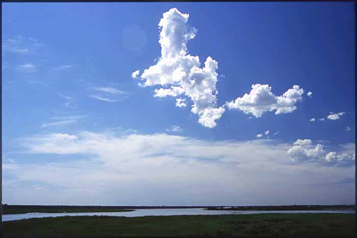 Steppe