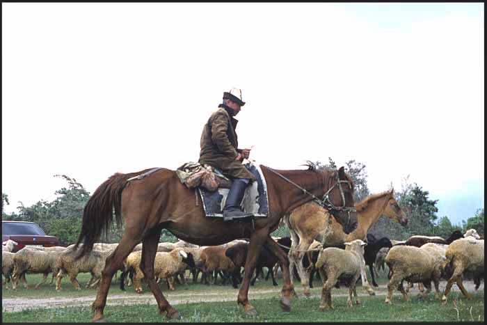 Karakol