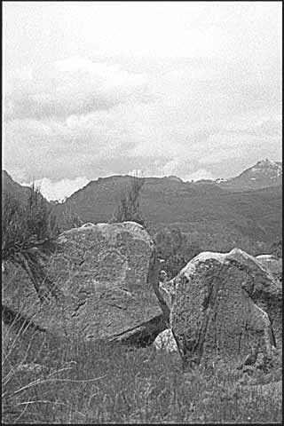 Petroglyph