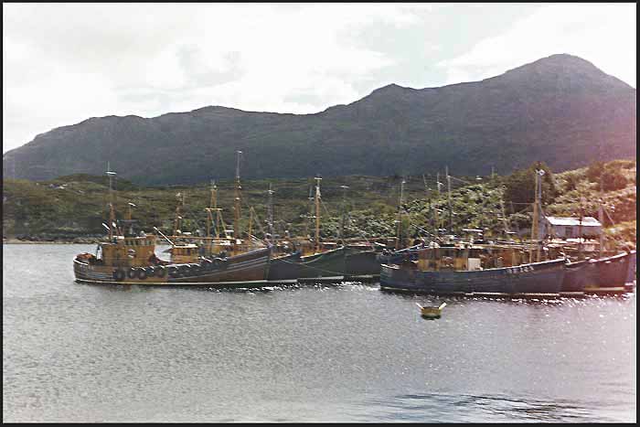 Hafen