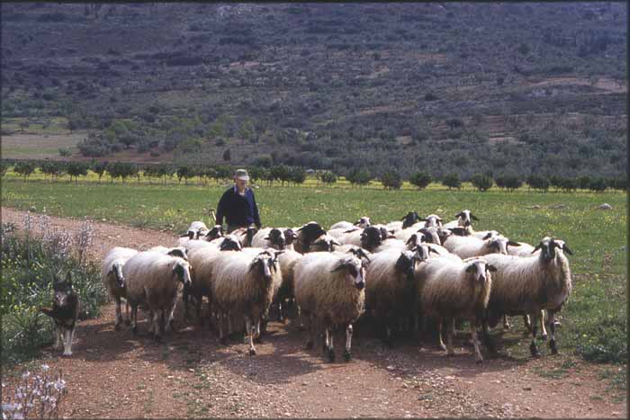 Peloponnes